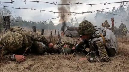 Невиданные потери ВСУ: российская мощь массово уничтожает врага под Курском