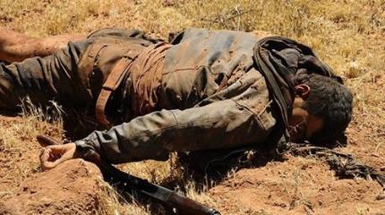Бывший полевой командир «Аль-Каиды» убит в Сирии Бывший полевой командир «Аль-Каиды» убит в Сирии