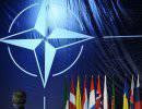 Die Welt: из-за России НАТО стоит на грани раскола Die Welt: из-за России НАТО стоит на грани раскола