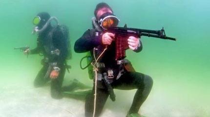Водолазы на Камчатке учились уничтожать диверсантов в подводном бою Водолазы на Камчатке учились уничтожать диверсантов в подводном бою