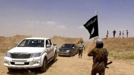 Иракская армия уничтожила более 300 боевиков ИГ на родине Саддама Хуссейна Иракская армия уничтожила более 300 боевиков ИГ на родине Саддама Хуссейна