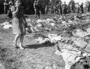 Великая Отечественная война. День за днём, день 49
