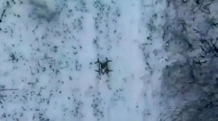 Украинского летающего ждуна уничтожили сбросом гранаты