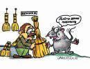 «Мыши под веником» переполошились «Мыши под веником» переполошились