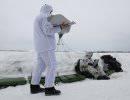 На российской военной базе в Армении начались испытания нового комплекса БЛА «Наводчик-2» На российской военной базе в Армении начались испытания нового комплекса БЛА «Наводчик-2»