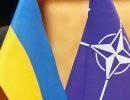 Украина просит у НАТО технические средства и уточняет, что не просит военной помощи Украина просит у НАТО технические средства и уточняет, что не просит военной помощи
