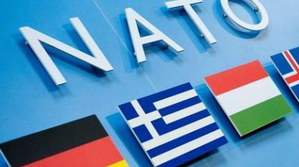 НАТО перевозбудилось НАТО перевозбудилось