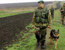 Один из раненых украинских военных скончался в больнице в Ростовской области Один из раненых украинских военных скончался в больнице в Ростовской области