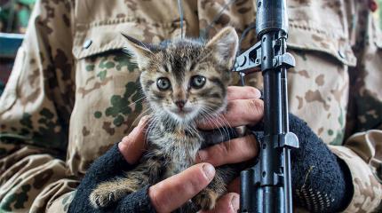 Своих не бросаем, своих не признаём