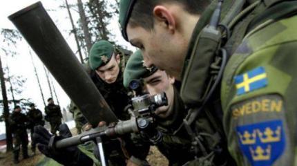 Страны севера Европы сплотились против России Страны севера Европы сплотились против России