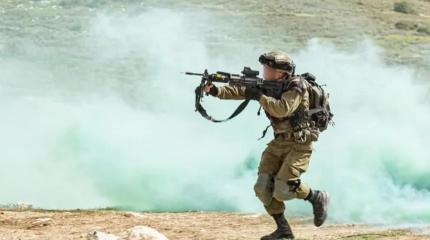 Солдат будущего: обзор программ. Заключение: Ближний Восток