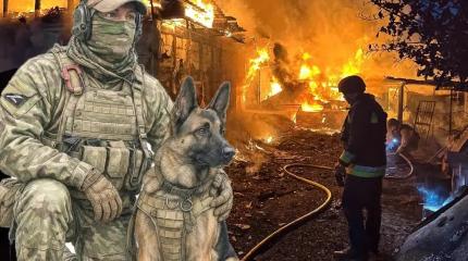 Как Армия России создаёт полосу безопасности в Сумской области