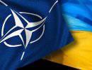 Новый начальник Генштаба Украины подтвердил намерение сотрудничать с НАТО Новый начальник Генштаба Украины подтвердил намерение сотрудничать с НАТО
