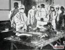 Клонирование людей в Третьем Рейхе Клонирование людей в Третьем Рейхе