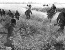 Великая Отечественная война. День за днём, день 39