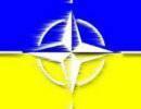 НАТО выполнит свои обязательства в условиях украинского кризиса НАТО выполнит свои обязательства в условиях украинского кризиса