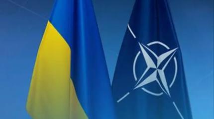 Украиной будут управлять британцы и французы: НАТО создаёт особый штаб