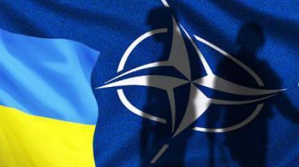 НАТО "украинизирует" Финляндию: Вашингтон полюбил Хельсинки без обязательств НАТО "украинизирует" Финляндию: Вашингтон полюбил Хельсинки без обязательств