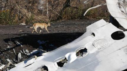 Cвидетель крушения MH17 видел в небе военные самолеты