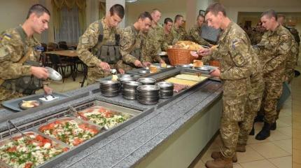 Вооруженные силы Украины на Донбассе кормят курятиной с сальмонеллой