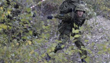 В НАТО признали уязвимость своих сил быстрого реагирования перед Россией В НАТО признали уязвимость своих сил быстрого реагирования перед Россией