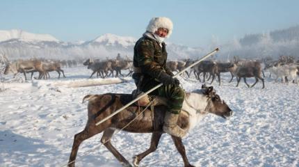 Сантехники и оленеводы смогут избежать службы в армии Сантехники и оленеводы смогут избежать службы в армии