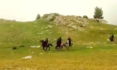 ИГИЛ настолько ослаблен авиаударами, что террористы начали седлать лошадей ИГИЛ настолько ослаблен авиаударами, что террористы начали седлать лошадей