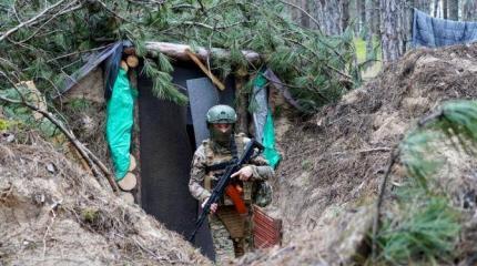 Диверсанты Зеленского боятся заходить в Кременские леса