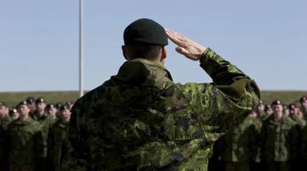 Канадских лесорубов – в партизаны: Оттава начала подготовку к войне с США