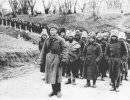 Великая Отечественная война. День за днём, день 63 Великая Отечественная война. День за днём, день 63