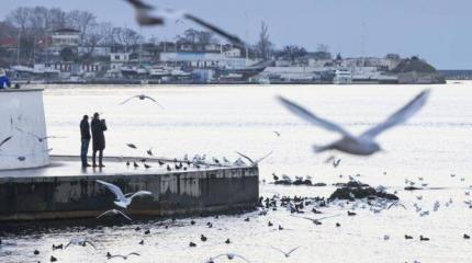 Прифронтовой Севастополь: Город-герой готовится к третьей обороне