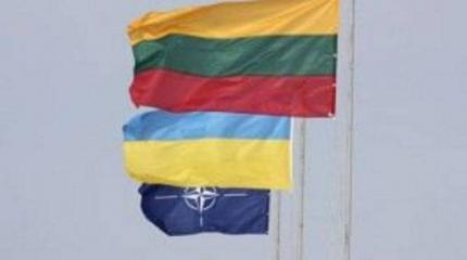 Литовцы обучат украинских военнослужащих военному планированию Литовцы обучат украинских военнослужащих военному планированию