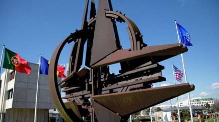 Россия не готова разбирать мифические данные разведки НАТО Россия не готова разбирать мифические данные разведки НАТО