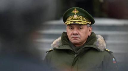 Шойгу: Иск по «Мистралю» Россия может подать в течение полугода