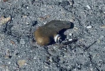 «Лепестки» возвращаются: ВСУ клепают жуткие мины на 3D-принтерах