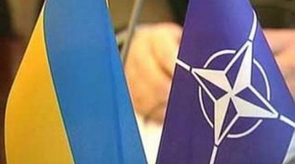 Примут ли Украину в НАТО? Примут ли Украину в НАТО?