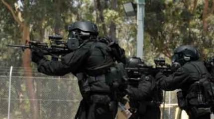 Сборище калек и клоунов. Полевые учения киевского «SWAT» опозорили страну