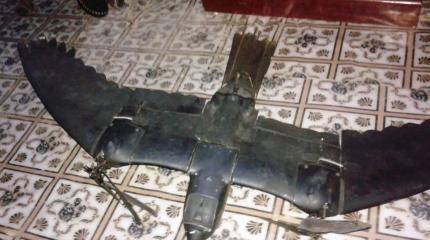 В Сомали сбит уникальный беспилотник, имитировавший птицу В Сомали сбит уникальный беспилотник, имитировавший птицу