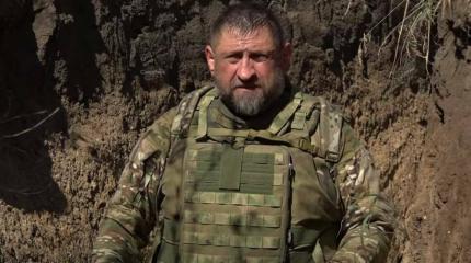 Военкор Сладков: «Несколько слов о собаках в Афганистане»