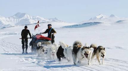 Какой будет встреча бундесвера и американской армии в Гренландии