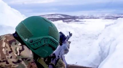 Наши «Белые медведи» довели Польшу до умопомрачения