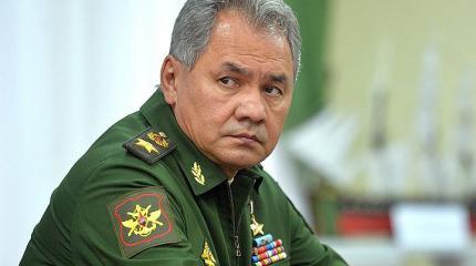 Шойгу: не думаем, что в их зоопарке вырос тот зверь, что сможет указывать