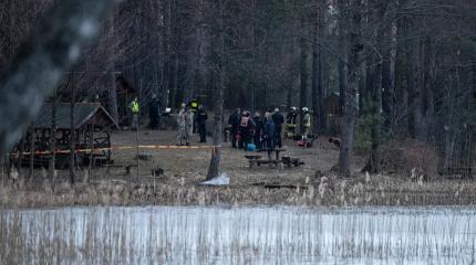 Литву атаковал сбившийся с пути украинский дрон-камикадзе
