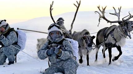 Мотострелки Северного флота провели учения на собачьих и оленьих упряжках