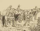 1812 год — трагедия Беларуси. Глава 4. Выкачивание ресурсов из Беларуси перед войной 1812 год — трагедия Беларуси. Глава 4. Выкачивание ресурсов из Беларуси перед войной