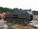 Командир десантного полка погиб на учениях из-за неправильно упавшего дерева Командир десантного полка погиб на учениях из-за неправильно упавшего дерева
