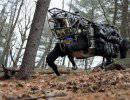 На Гавайях морпехи США тестируют робота-мула На Гавайях морпехи США тестируют робота-мула