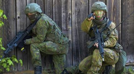 Эстонец, знай свое место: на твоей земле хозяин – НАТО