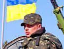 Что происходит с украинской армией? Что происходит с украинской армией?