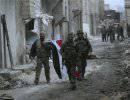 Сирия в последние 24 часа: армия уничтожила более 1000 боевиков в Латакии
